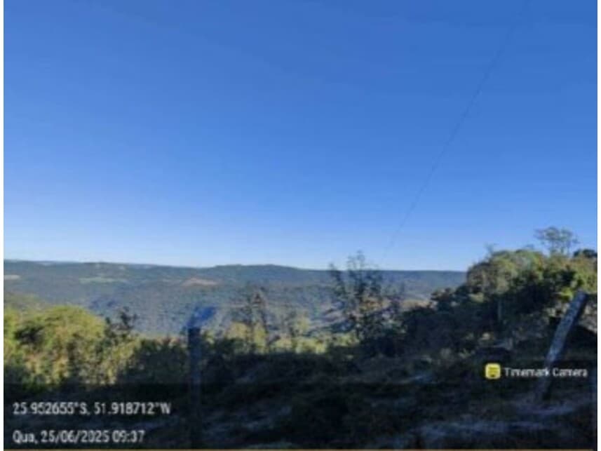 Area Rural em leilão em Pinhão - PR — Área Rural à venda em leilão