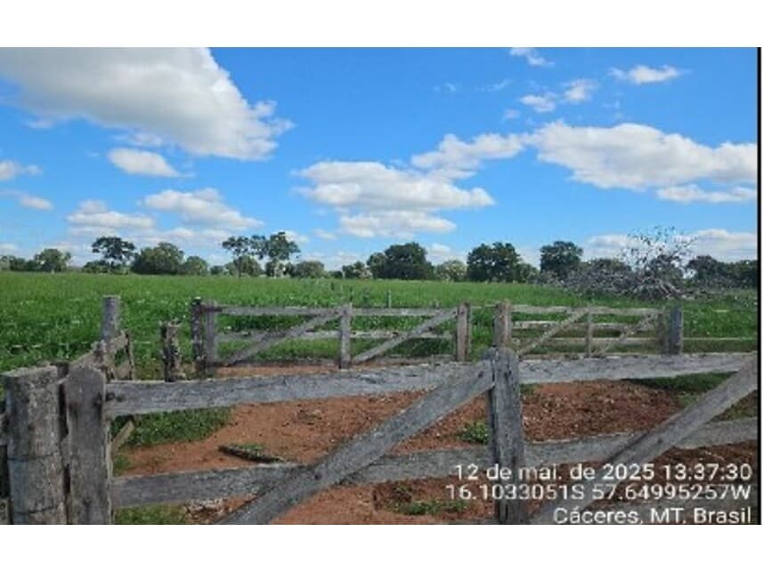 Foto 1 de 10: Area Rural em leilão em Cáceres - MT — Área Rural à venda em leilão