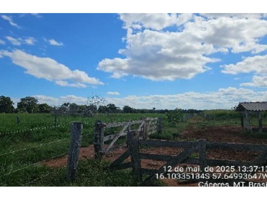 Foto 9 de 10: Area Rural em leilão em Cáceres - MT — Área Rural à venda em leilão