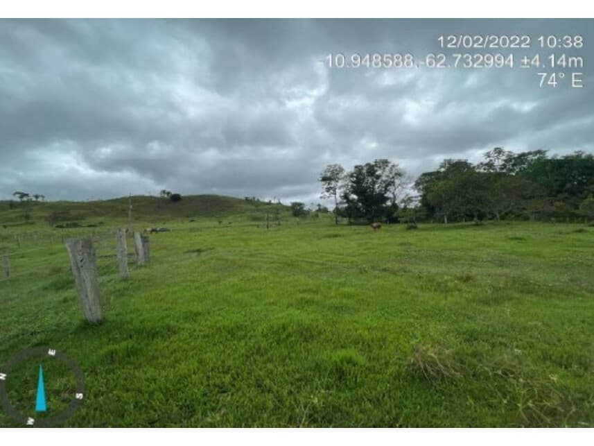 Foto 5 de 7: Area Rural em leilão em Mirante Da Serra - RO — Área Rural à venda em leilão
