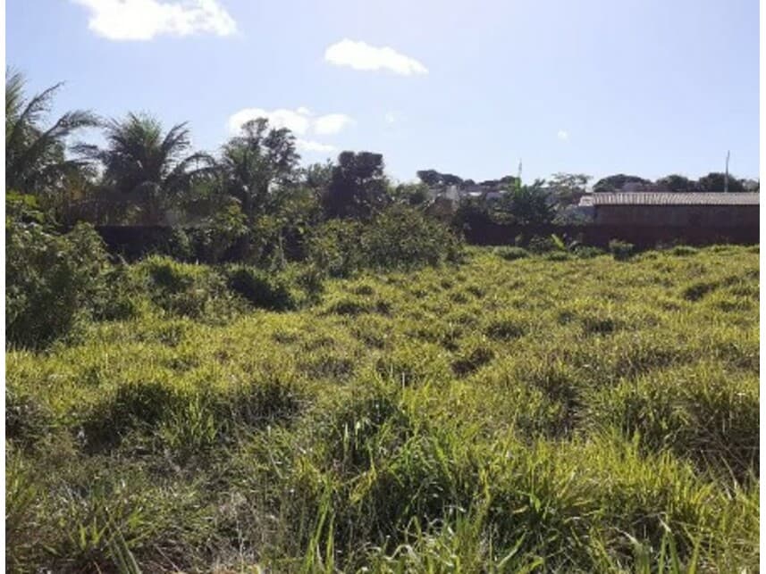 Foto 2 de 4: Terreno em leilão em Umuarama - PR — Terreno à venda em leilão