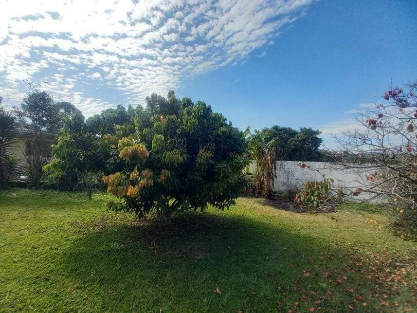 Foto 11 de 20: Casa em leilão em Suzano - SP — Casa à venda em leilão