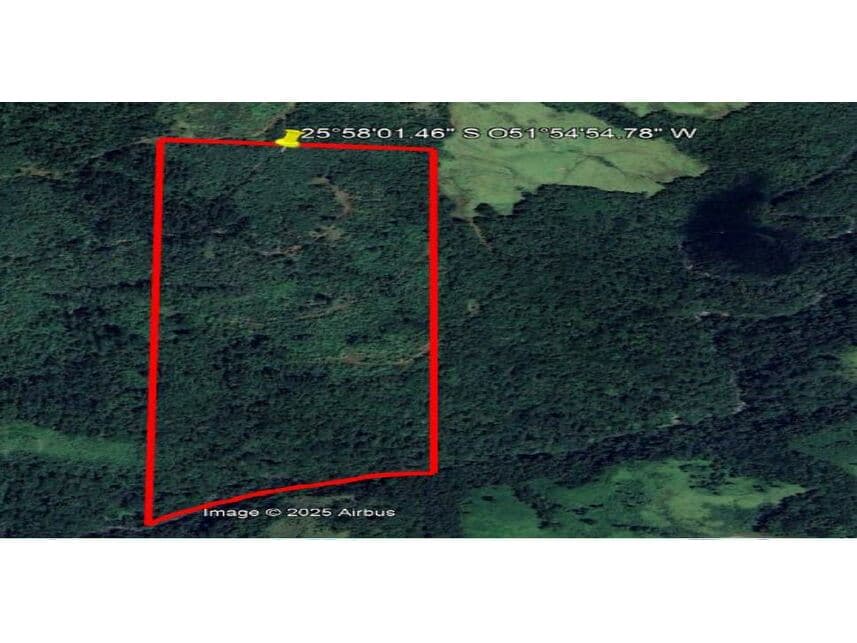 Area Rural em leilão em Pinhão - PR — Área Rural à venda em leilão