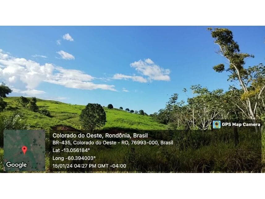 Foto 23 de 24: Area Rural em leilão em Vilhena - RO — Sítio à venda em leilão