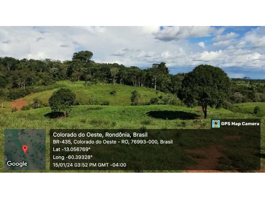 Foto 3 de 24: Area Rural em leilão em Vilhena - RO — Sítio à venda em leilão