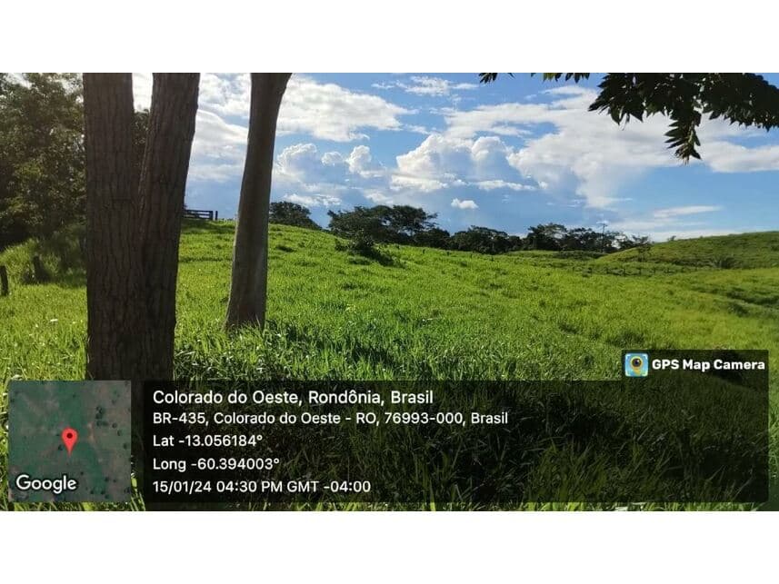 Foto 24 de 24: Area Rural em leilão em Vilhena - RO — Sítio à venda em leilão