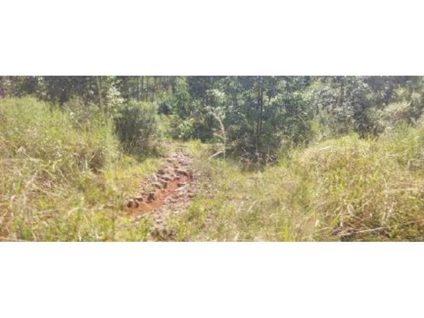 Foto 3 de 5: Area Rural em leilão em Maraú - RS — Área Rural à venda em leilão