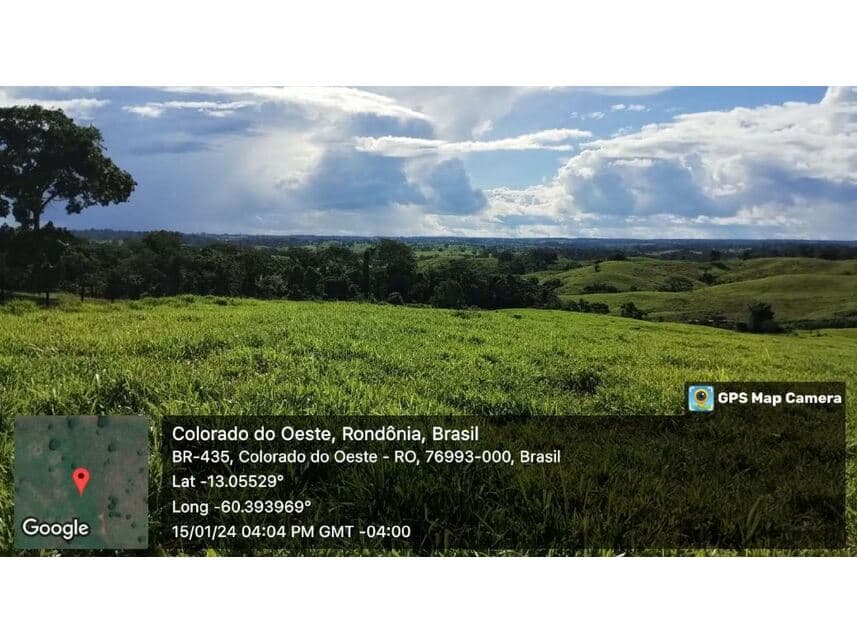 Foto 10 de 24: Area Rural em leilão em Vilhena - RO — Sítio à venda em leilão