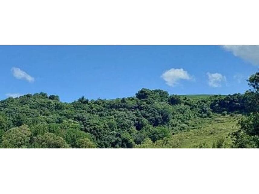 Foto 4 de 5: Area Rural em leilão em Maraú - RS — Área Rural à venda em leilão