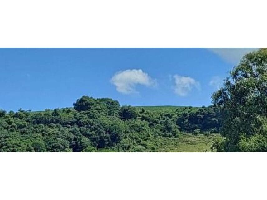 Foto 5 de 5: Area Rural em leilão em Maraú - RS — Área Rural à venda em leilão