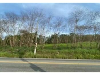 Area Rural em leilão em Niterói - RJ, bairro Várzea das Moças — Leilão extrajudicial de Área Rural em Niterói/RJ - Várzea das Moças