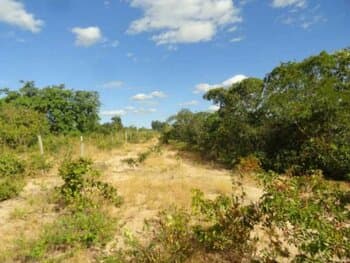Terreno em leilão em Alto Parnaíba - MA, bairro Santa Rita — Leilão extrajudicial de Terreno em Alto Parnaíba/MA - Santa Rita