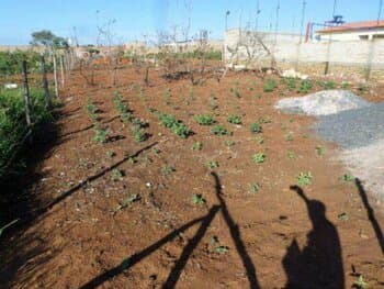 Terreno em leilão em Alexânia - GO, bairro Setor Morada Nova — Leilão extrajudicial de Terreno em Alexânia/GO - Setor Morada Nova