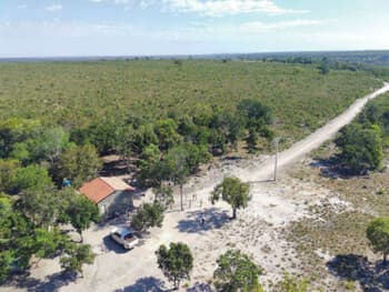 Area Rural em leilão em Novo Acordo - TO — Leilão extrajudicial de Fazenda em Novo Acordo/TO - Zona Rural