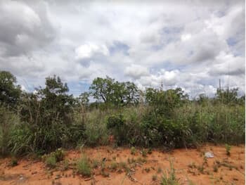 Terreno em leilão em Caetanópolis - MG, bairro Garden Ville — Leilão extrajudicial de Terreno em Paraopeba/MG - Garden Ville