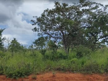 Terreno em leilão em Caetanópolis - MG, bairro Garden Ville — Leilão extrajudicial de Terreno em Caetanópolis/MG - Garden Ville
