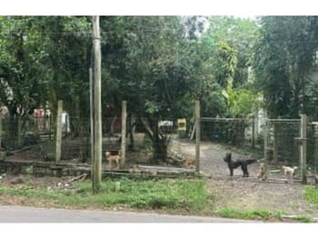 Casa em leilão em Guaíba - RS, bairro Alegria — Leilão extrajudicial de Casa em Guaíba/RS - Alegria