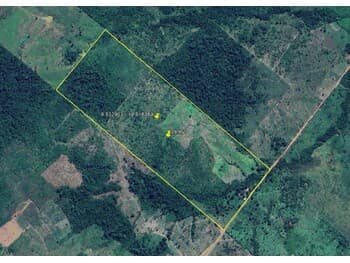 Area Rural em leilão em Conceição Do Araguaia - PA, bairro Interior — Leilão extrajudicial de Área Rural em Conceição do Araguaia/PA - Interior