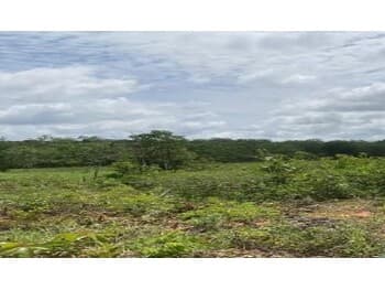 Area Rural em leilão em Serra Dourada - BA — Leilão extrajudicial de Área Rural em Serra Dourada/BA - Área Rural de Serra Dourada