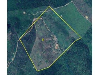 Area Rural em leilão em Marajá Do Sena - MA — Leilão extrajudicial de Área Rural em Marajá do Sena/MA - Zona Rural