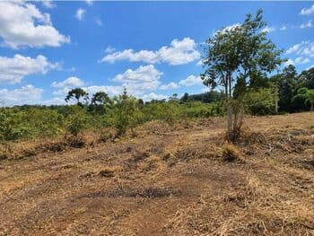Terreno em leilão em Ibiúna - SP, bairro Sorocamirim — Leilão judicial de Terreno em Ibiúna/SP - Sorocamirim