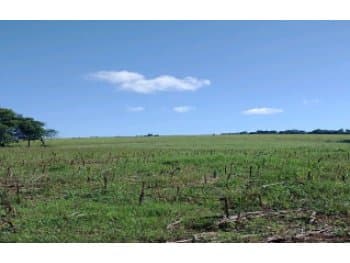 Area Rural em leilão em São Miguel Das Missões - RS — Leilão extrajudicial de Área Rural em São Miguel das Missões/RS - Zona Rural