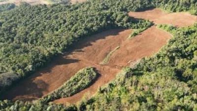 Foto 10 de 13: Area Rural em leilão em Nova Esperança Do Sudoeste - PR — LOTE RURAL EM SALTO DO LONTRA-PR