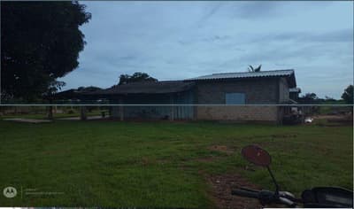 Foto 7 de 9: Area Rural em leilão em Nova Bandeirantes - MT — IMÓVEL RURAL Sítio L & B | A.T. 36,30 HA | NOVA BANDEIRANTES /MT