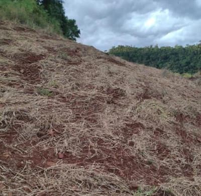 Foto 2 de 2: Area Rural em leilão em Anchieta - SC — IMÓVEL RURAL COM ÁREA TOTAL 72.600,00 m², EM ANCHIETA-SC