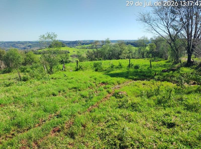 Foto 2 de 16: Terreno em leilão em Erval Seco - RS, bairro Interior — IMÓVEL RURAL COM ÁREA DE de 107.819,20 m2, EM ERVAL SECO/RS