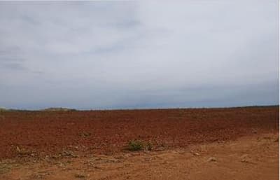 Foto 6 de 8: Area Rural em leilão em São Valério - TO — IMÓVEL RURAL | A.T. 1.210,00063 HA | FAZENDA LISBOA | SÃO VALÉRIO/TO