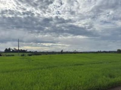 Area Rural em leilão em São Miguel Do Guaporé - RO — IMÓVEL RURAL PARA AGRICULTURA AT. 24,7549HA, SÍTIO ESPERANÇA EM SÃO MIGUEL DO GUAPORÉ-RO