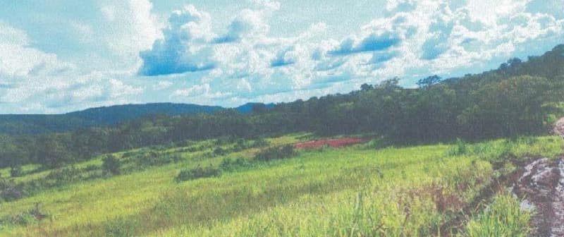 Foto 1 de 24: Area Rural em leilão em Alta Floresta D'oeste - RO — IMÓVEL RURAL | A.T 68,82 HA | ALTA FLORESTA DOESTE/RO