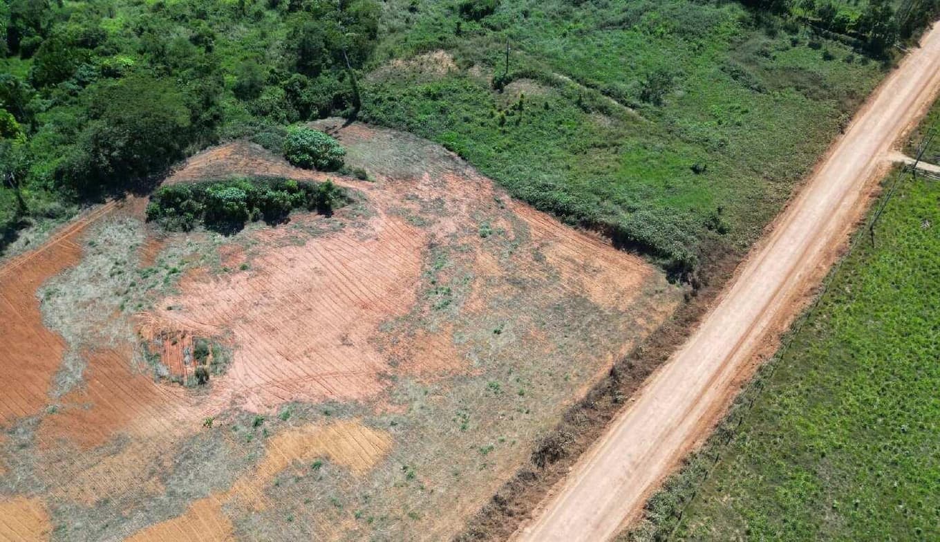 Foto 2 de 5: Area Rural em leilão em Apiacás - MT — IMÓVEL RURAL | A.T. 15.916,00m² | CHÁCARA LE 71 - APIACÁS/MT