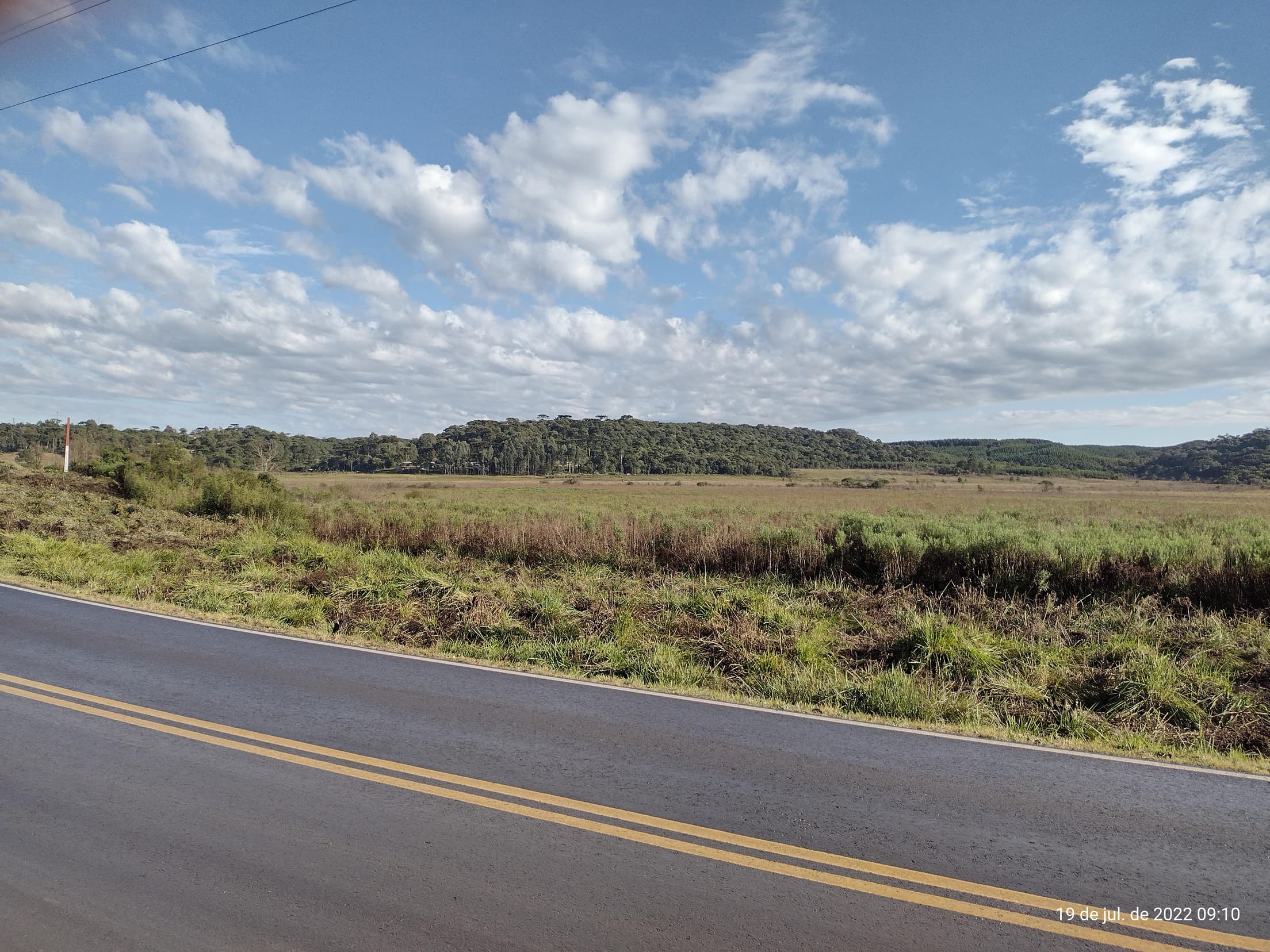 Foto 12 de 50: Terreno em leilão em Irati - PR — Terreno rural com área de 74.282,70m², Irati/PR