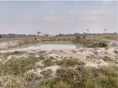 Foto 2 de 4: Area Rural em leilão em Alta Floresta D'oeste - RO — IMÓVEL RURAL | A.T. 28.5016ha ESTÂNCIA FERREIRA III | ALTA FLORESTA D'OESTE/RO.
