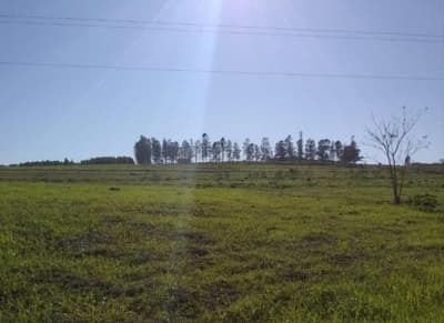 Foto 8 de 9: Area Rural em leilão em Nova Esperança - PR — IMÓVEL RURAL COM ÁREA TOTAL DE 30.548,00 m2 EM NOVA ESPERANÇA-PR