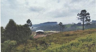 Foto 9 de 10: Area Rural em leilão em Imbuia - SC, bairro Interior — IMÓVEL RURAL COM ÁREA SUPERFICIAL DE 132.280,00M2 EM IMBUIA-SC