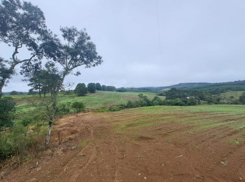 Foto 18 de 25: Area Rural em leilão em Correia Pinto - SC — IMÓVEL RURAL COM ÁREA TOTAL DE 121.000M² - CORREIA PINTO/SC