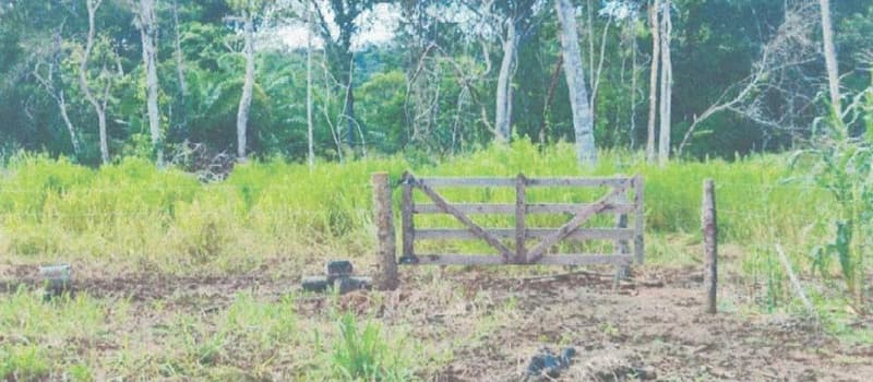 Foto 18 de 24: Area Rural em leilão em Alta Floresta D'oeste - RO — IMÓVEL RURAL | A.T 68,82 HA | ALTA FLORESTA DOESTE/RO