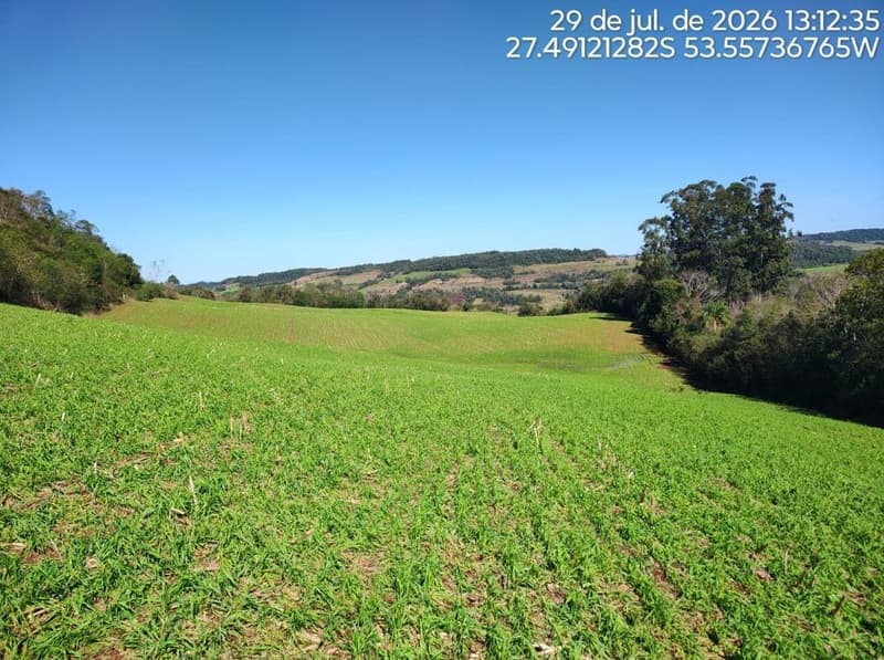 Foto 15 de 16: Terreno em leilão em Erval Seco - RS, bairro Interior — IMÓVEL RURAL COM ÁREA DE de 107.819,20 m2, EM ERVAL SECO/RS