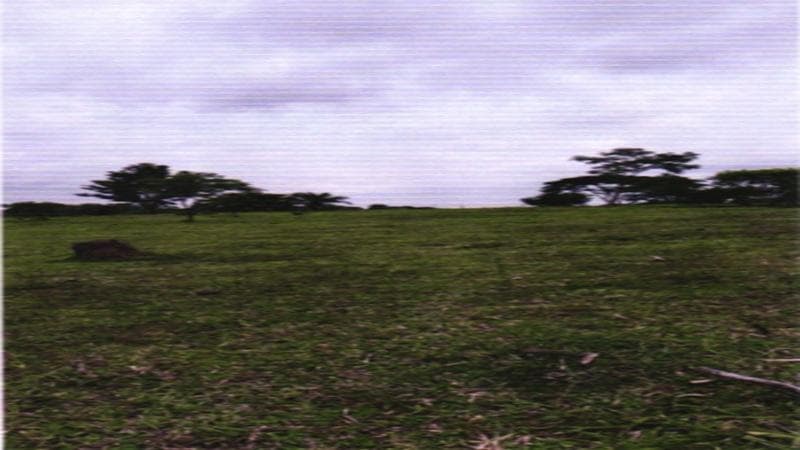 Foto 4 de 5: Casa em leilão em Colorado Do Oeste - RO — CHÁCARA URBANA | A.T. 19.789,41 M² - SETOR B | COLORADO DO OESTE/RO - LEILÃO EMPRESARIAL SISTÊMICO SICREDI