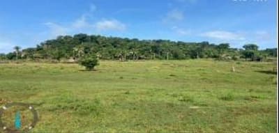 Foto 1 de 8: Area Rural em leilão em Nova Olímpia - MT — IMÓVEL RURAL COM 140.6662HA EM NOVA OLÍMPIA-MT COMARCA DE BARRA DO BUGRES-MT