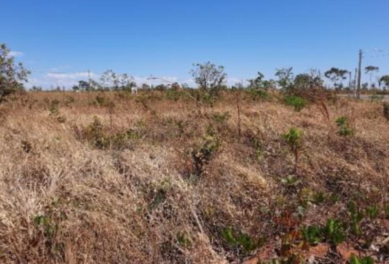 Foto 2 de 3: Terreno em leilão em Alexânia - GO, bairro Setor Aeroporto — Lote, Alexânia / GO