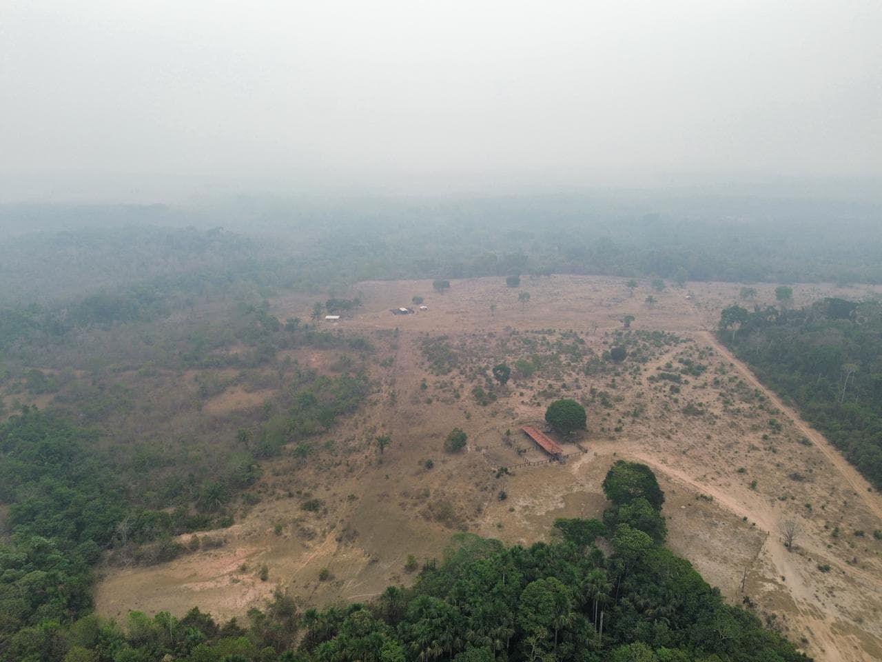 Foto 7 de 20: Area Rural em leilão em Pimenta Bueno - RO — IMÓVEL RURAL | A. T. 63,4635 HA | PIMENTA BUENO/RO - LEILÃO EMPRESARIAL SISTÊMICO SICREDI