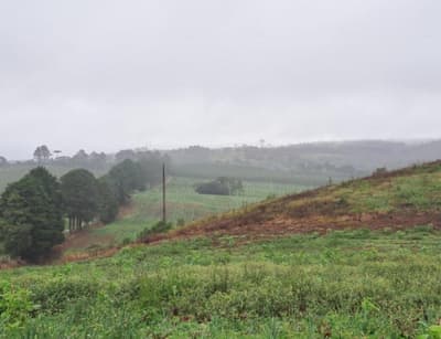 Foto 7 de 25: Area Rural em leilão em Correia Pinto - SC — IMÓVEL RURAL COM ÁREA TOTAL DE 121.000M² - CORREIA PINTO/SC