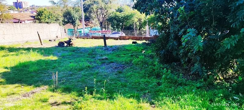 Foto 6 de 14: Comercial em leilão em Ijuí - RS — Imóvel comercial com 1.900m² em Ijuí