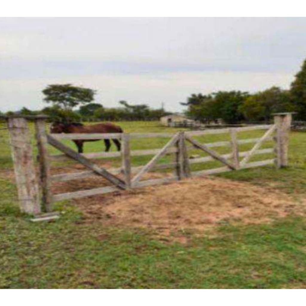 Foto 4 de 6: Area Rural em leilão em Oriximiná - PA — IMÓVEL RURAL COM ÁREA DE 256,9199 ha - Em ORIXIMINÁ/PA