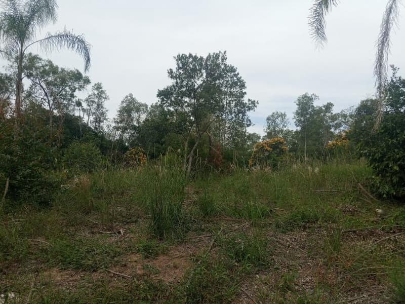 Area Rural em leilão em Montenegro - RS — IMÓVEL RURAL COM ÁREA TOTAL DE 8.492,840m² - MONTENEGRO/RS