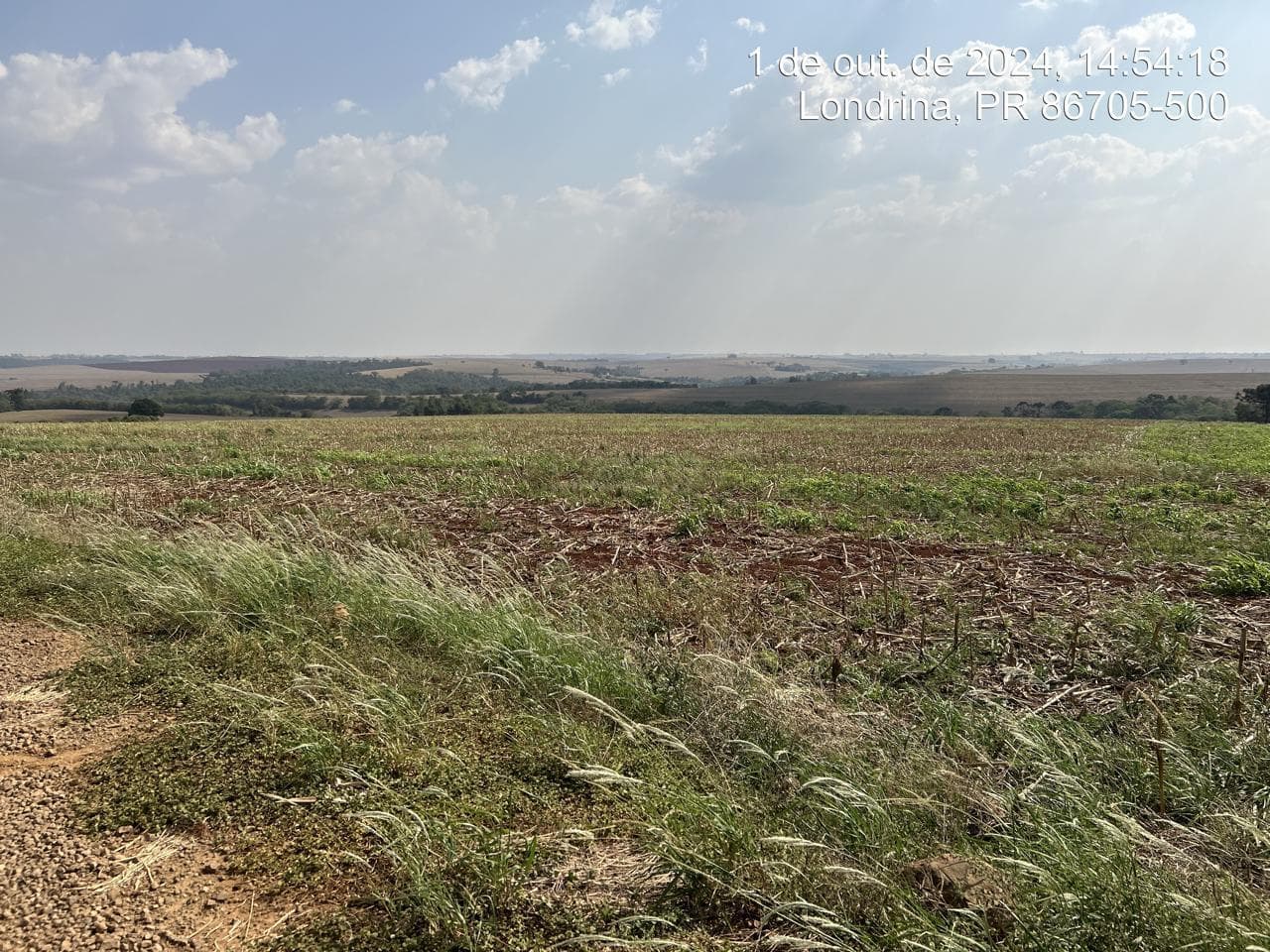 Foto 14 de 21: Area Rural em leilão em Arapongas - PR — Fração ideal de 6,255% do Lote rural, coma área 28100,83m², Arapongas/PR